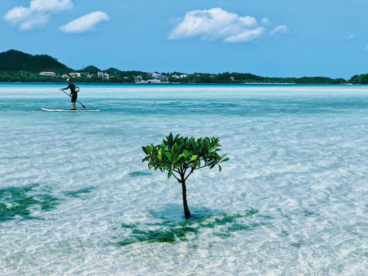 名前がないビーチだけど 石垣島のなかでもトップの透明度 川平湾の口コミ Triproud